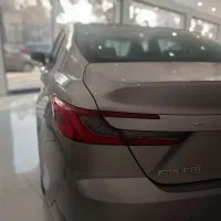 کمری خاکستری ایرتویا