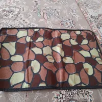 پادری|پادری|شیراز, شاه قلی بیگی|دیوار