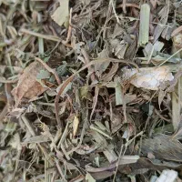 علف بادام|خدمات باغبانی و درختکاری|سروآباد, |دیوار