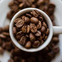 انواع دان قهوه|عمده‌فروشی|میانه, |دیوار