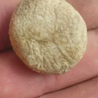 عقیق گبری قدیمی|کلکسیون اشیاء عتیقه|قم, شاه ابراهیم|دیوار