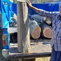 خریدچوب باغی شاخه از۲تا۸تومن|خدمات باغبانی و درختکاری|گرگان, |دیوار