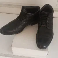 کفش مردنه|کیف، کفش، کمربند|تبریز, |دیوار