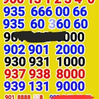09391319000 09356660066 09111310500 09981313333