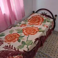 تخت فلزی تک نفره