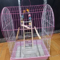 قفس پرنده|لوازم جانبی حیوانات|رشت, معلولین|دیوار