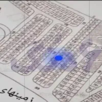 زمین-پرواز-پارک-جنگلی