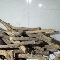 بریدن درختان و فروش چوب شومینه ایی