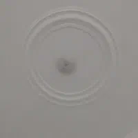 گچ کاری و لکه گیری|خدمات پیشه و مهارت|جیرفت, |دیوار