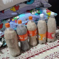 بذر کشاورزی|گل و گیاه طبیعی|کوهدشت, |دیوار