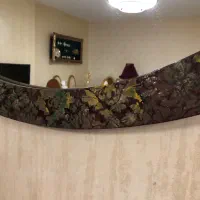 آینه آنتیک|آینه|تهران, شهرک شهید باقری|دیوار