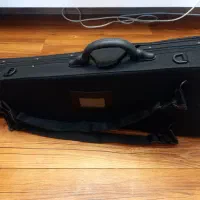 ویالون سندنر|ویولن|نیشابور, امین اسلامی|دیوار