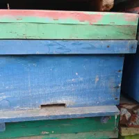 کندویه زنبور عسل