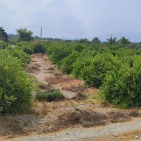 باغ مخصوص ویلا