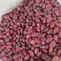 لوبیا قرمز محلی