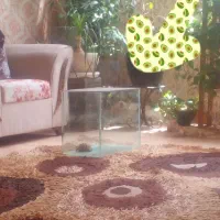 مکان-دارم-جهت-انبار-لوازم-شما