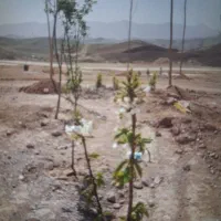 اگهی مجمع عمومی ،فراخوان شماره ۳ فاز۶پردیس