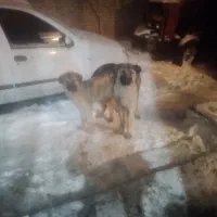 قیمت ۴۰۰۰۰۰۰۰ ملیون