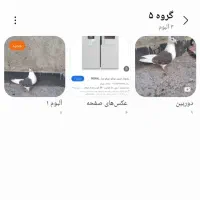 یخچال ‌ک‌ب‌و‌ت‌ر