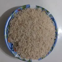 برنج دوکشت طارم هاشمی