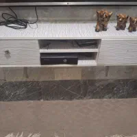 میز تلویزیون