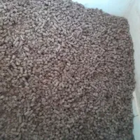 پلت نیشکر و ملاس مخصوص خوراک دام و طیور
