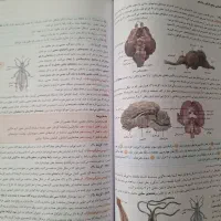 کتاب کار زیست جامع خیلی سبز دو جلد|لوازم التحریر|فردوس (خراسان), |دیوار