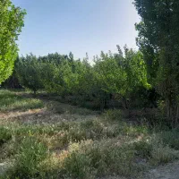 600متر4دیواری فروشی/احمدآبادمستوفی