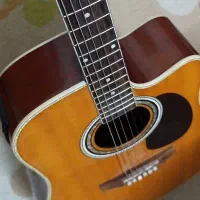 گیتار اکوستیک Estaben پیکاپ دار