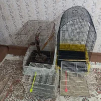 قفس نو سالم بدون زنگ زدگی