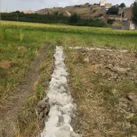 زمین زراعی شهری موقعیت مسکونی متراژ ۳۰۰|فروش زمین و ملک کلنگی|نکا, |دیوار