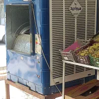 لوازم میوه فروشی کامل با لاینر