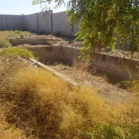 فروش750متر زمین آبادی داوود/ کد آگهی 11008 / nikan|فروش دفتر صنعتی، کشاورزی، تجاری|شوش, |دیوار