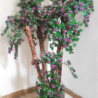 درختچه مصنوعی و طبیعی، یوکا