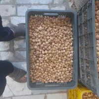 فروش انجیر|خوردنی و آشامیدنی|نی‌ریز, |دیوار