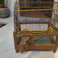 قفس سهره