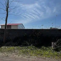 پلاک کوچیک ساحلی با سند تک برگ محصور