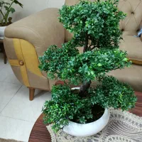 گل مصنوعی بونسای|گل و گیاه طبیعی|تهران, باغ خزانه|دیوار