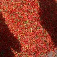 فلفل سبز و قرمز تند|خوردنی و آشامیدنی|تهران, حسن‌آباد|دیوار
