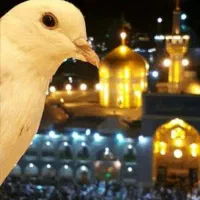 سکته عصب شنوایی گوش