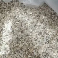 آکواریوم شرکتی با وسایل کامل|ماهی|مشهد, وکیل‌آباد|دیوار