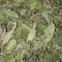 گزنه خشک و سبزی معطر شمال بوانجیر ووارامبو
