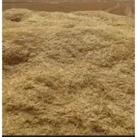 کاه دیمی گنم