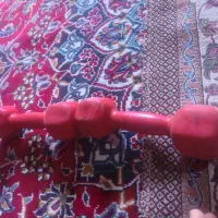 دنبل|تجهیزات ورزشی|مسجد سلیمان, |دیوار