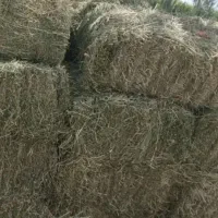 یونجه بسته بندی سنتی هست