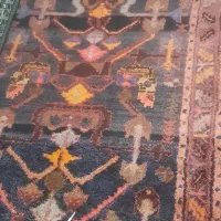 فرش دست بافت|فرش|اسفرورین, |دیوار