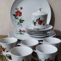 ظرف پذیرایی سالم و زیبا و تمیز