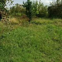 خانه باغ.زراعی.مسکونی.سند دار