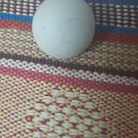 سنگ آسیاب|کلکسیون اشیاء عتیقه|مشهد, رده|دیوار