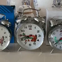 بنام روزی دهند   مرغی